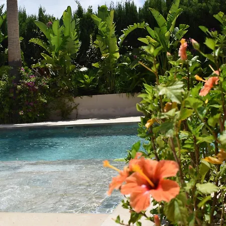 Boutique Casa Lapicida Hotell *