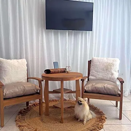 Boutique Casa Lapicida Отель *